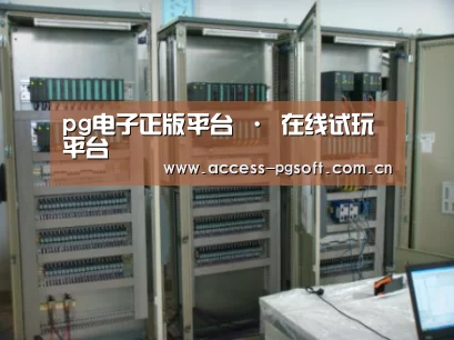 PG电子APP案例展示五(图1)