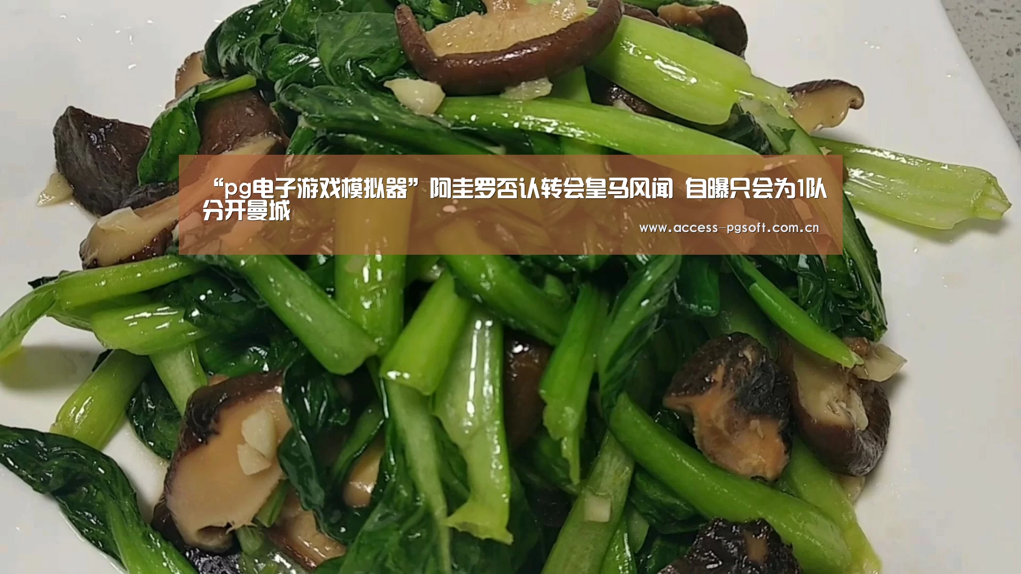 pg电子游戏模拟器