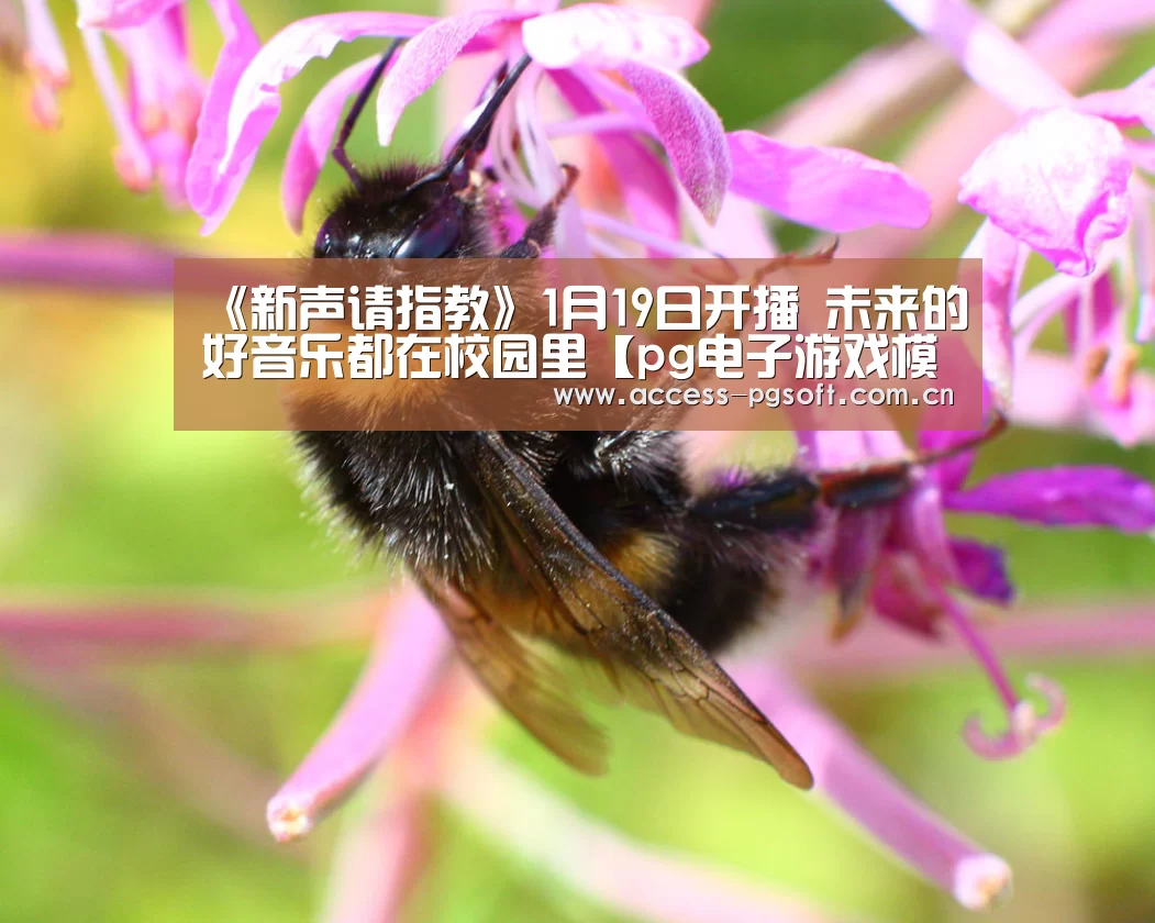 《新声请指教》1月19日开播 未来的好音乐都在校园里【pg电子游戏模拟器】(图1) PG电子APP