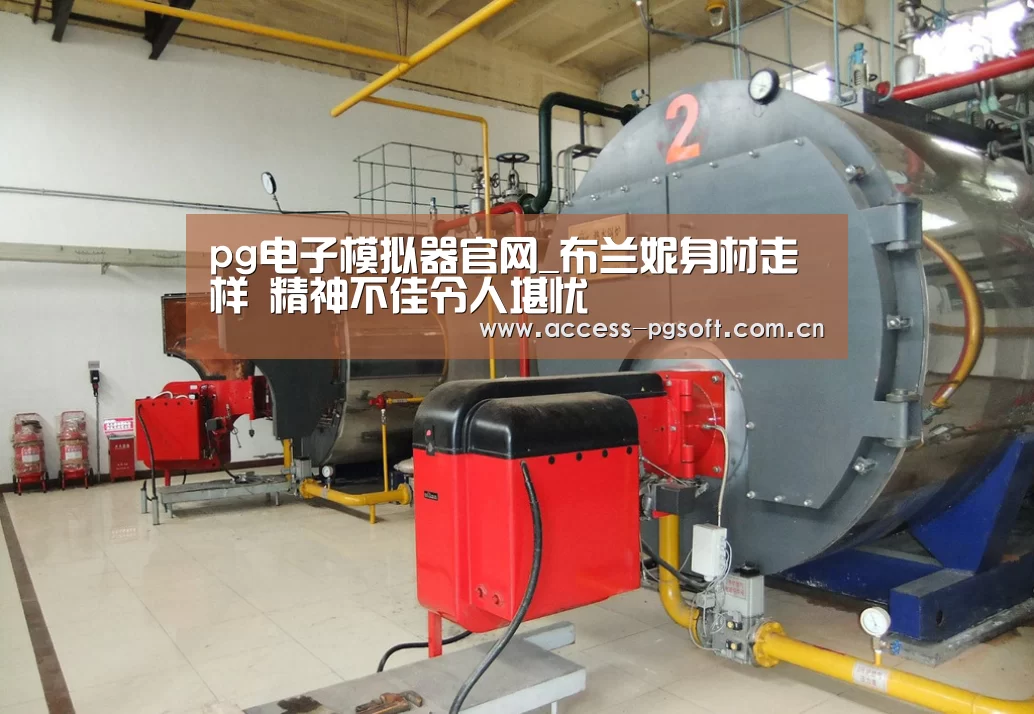 pg电子模拟器官网_布兰妮身材走样 精神不佳令人堪忧(图1) pg电子游戏模拟器